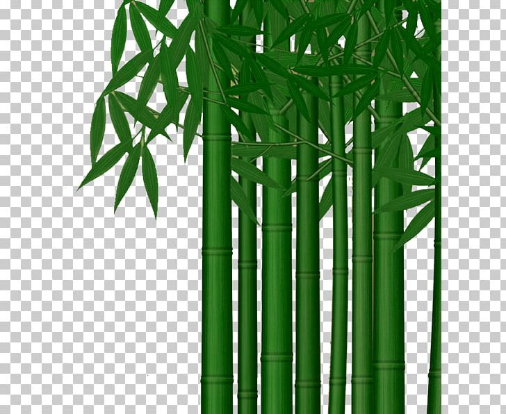 Poster PNG, Clipart, Advertising, Bamboo, Bamboo Border, Bamboo Frame, Bamboo House Free PNG Download