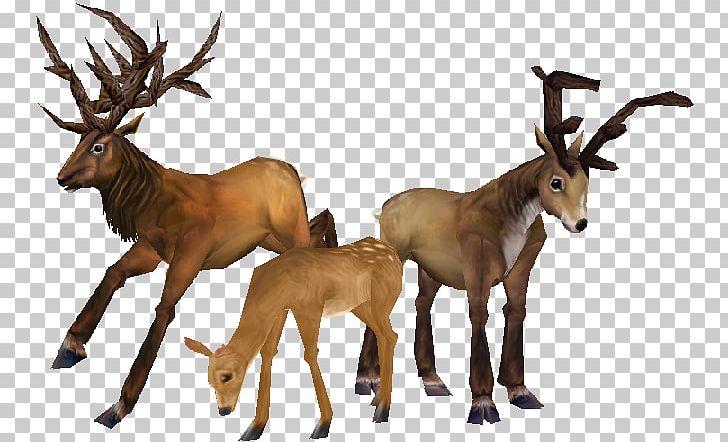 Reindeer Red Deer PNG, Clipart, Antler, Cartoon, Channel, Deer, Elk Free PNG Download
