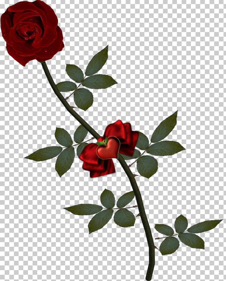 Stock Photography Rose Fotosearch PNG, Clipart, Alamy, Branch, Bud, Color, Cut Flowers Free PNG Download