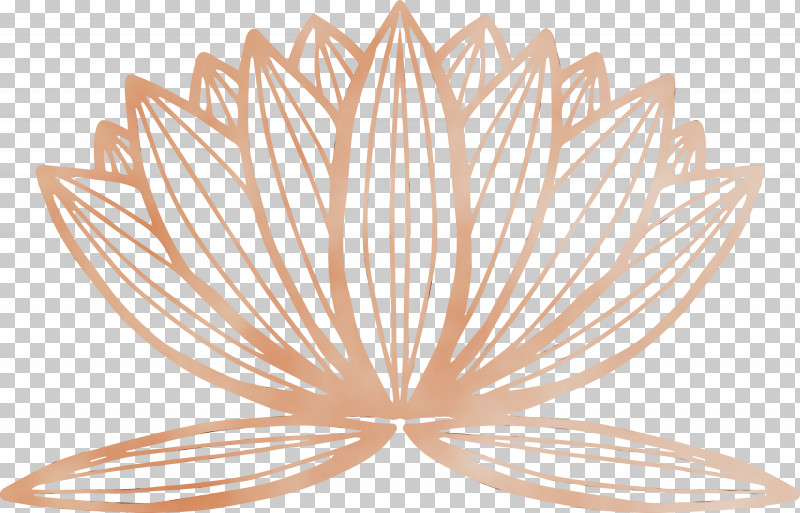 Leaf Symmetry Line Science Plant Structure PNG, Clipart, Biology, Leaf, Line, Paint, Plants Free PNG Download