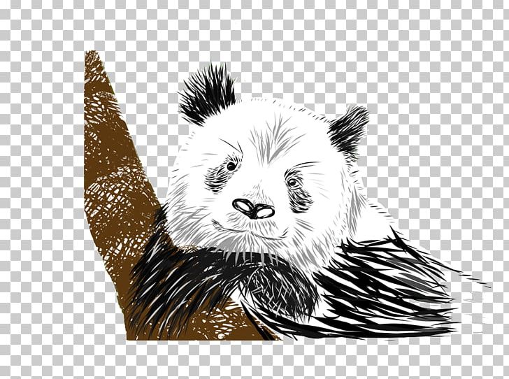 Bear Giant Panda Drawing PNG, Clipart, Adobe Illustrator, Animal, Animal Illustration, Animals, Art Free PNG Download