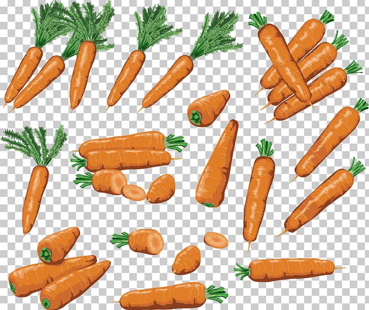 Carrot PNG, Clipart, Carrot Free PNG Download