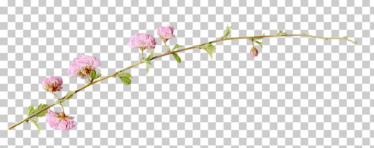 Flower Branch Twig PNG, Clipart, Branch, Bud, Computer Icons, Computer Network, Cut Flowers Free PNG Download
