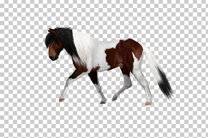 Mustang Pony Stallion Gallop Bridle PNG, Clipart, Album, Animal Figure, Bild, Bridle, Drawing Free PNG Download