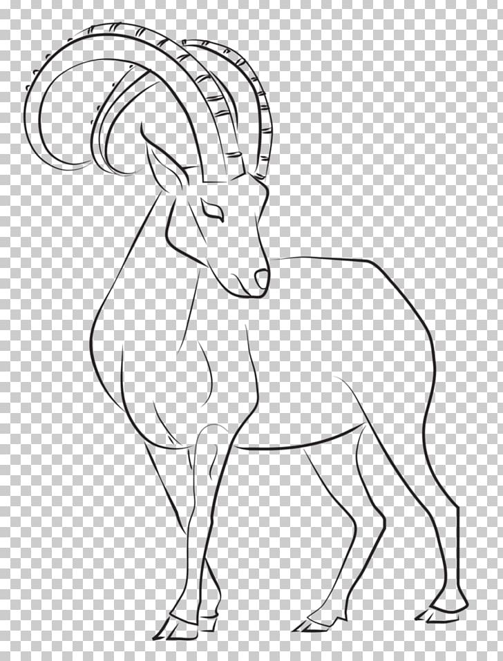 Alpine Ibex Goat Drawing Line Art Tattoo Art PNG, Clipart, Alpine Ibex, Animals, Art, Artwork, Black And White Free PNG Download