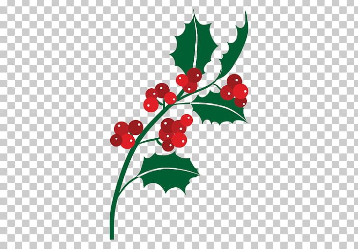 Mistletoe Phoradendron Tomentosum Christmas PNG, Clipart, Aquifoliaceae, Aquifoliales, Artwork, Branch, Christmas Free PNG Download
