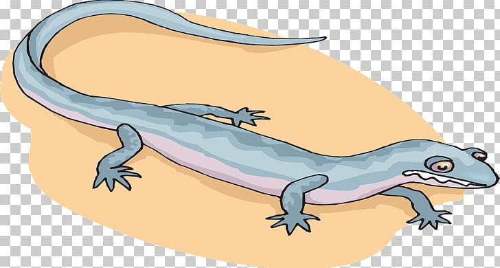 Salamander Cartoon Newt PNG, Clipart, Amphibian, Animaatio, Animals, Blue, Bluespotted Salamander Free PNG Download
