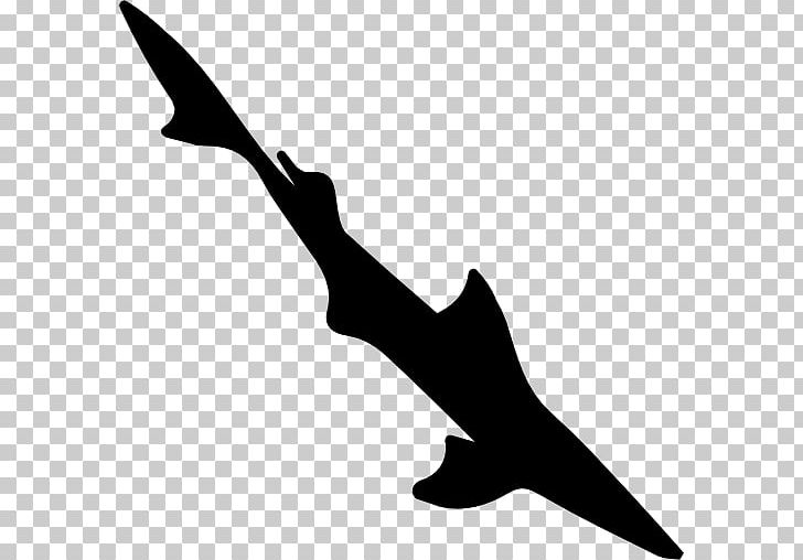 Spiny Dogfish Shark PNG, Clipart, Animals, Artwork, Beak, Bird, Black Free PNG Download