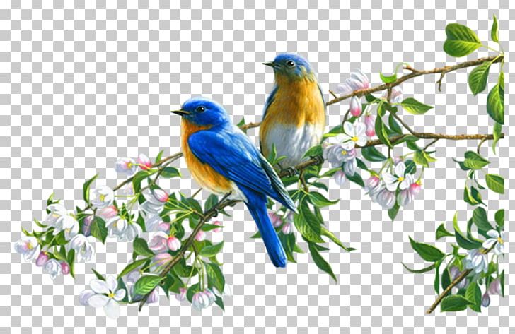 Bird Art Painting Canvas Print PNG, Clipart, Animals, Art, Beak, Bird, Birdandflower Painting Free PNG Download