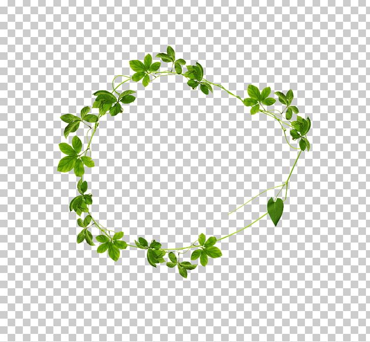 Leaf Green Drawing PNG, Clipart, Aime, Autumn Leaf Color, Branch, Cartoon, Circle Free PNG Download