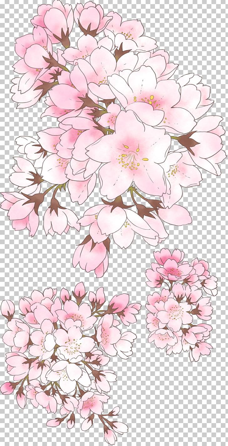 National Cherry Blossom Festival Drawing PNG, Clipart, Blossom, Branch, Cherry, Cherry Blossom, Cut Flowers Free PNG Download