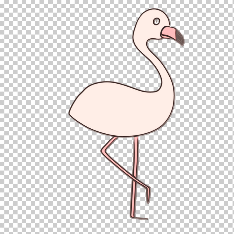 Flamingo PNG, Clipart, Beak, Biology, Birds, Crane, Flamingo Free PNG Download