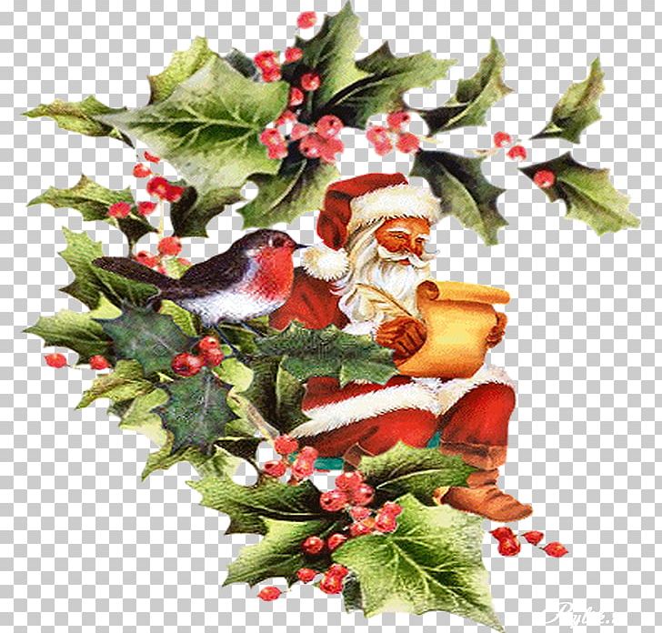 Christmas Ornament Santa Claus Christmas Day New Year Christmas Tree PNG, Clipart, Aquifoliales, Christmas, Christmas Card, Christmas Day, Christmas Decoration Free PNG Download