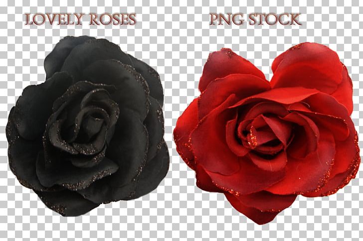 Garden Roses PNG, Clipart, Art, Artificial Flower, Cut Flowers, Deviantart, Flower Free PNG Download