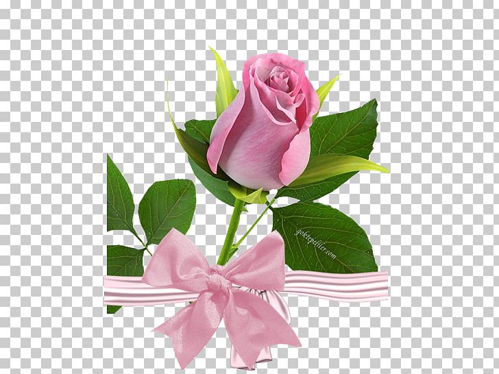 Rose Yellow Pink Color Flower PNG, Clipart, Artificial Flower, Blue Rose, Cut Flowers, Floral Design, Floristry Free PNG Download