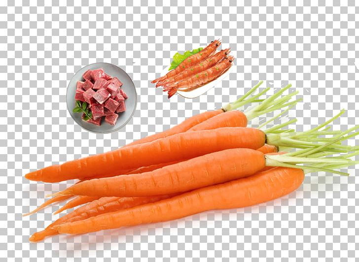 Carrot Cake Daucus Vegetable Orange PNG, Clipart, Baby Carrot, Beef, Bunch Of Carrots, Carrot, Carrot And Stick Free PNG Download