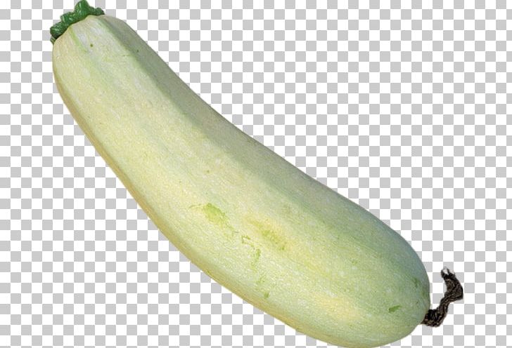Cucumber Wax Gourd Summer Squash Winter Squash PNG, Clipart, Banana Family, Cooking, Cooking Banana, Cooking Plantain, Cucumber Free PNG Download