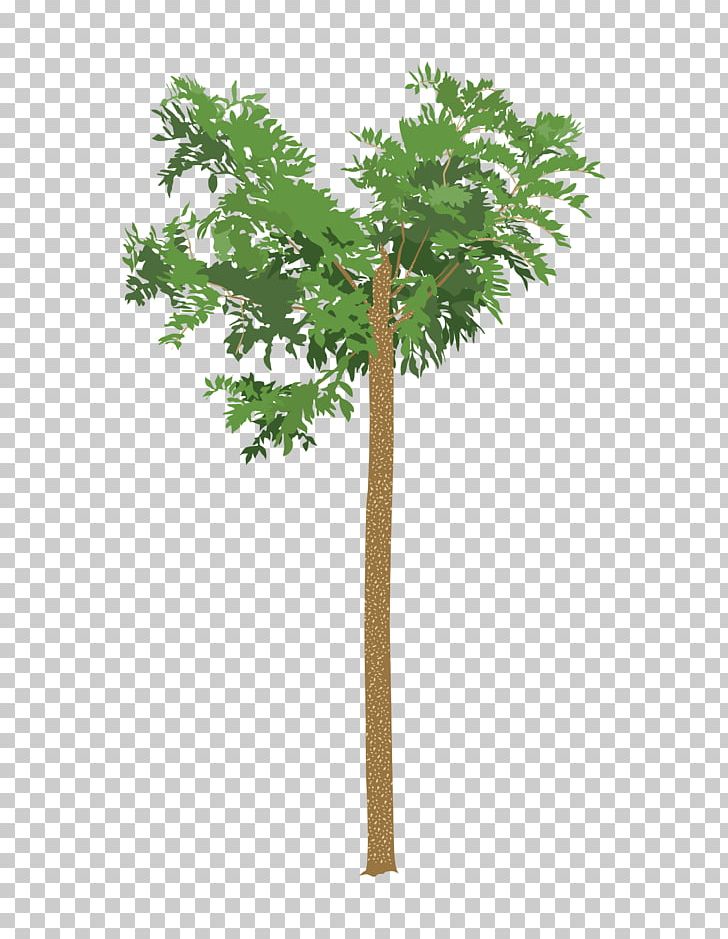 Tree Drawing Root Leaf PNG, Clipart, Branch, Coloring Book, Drawing, Flowerpot, Graphic Design Free PNG Download