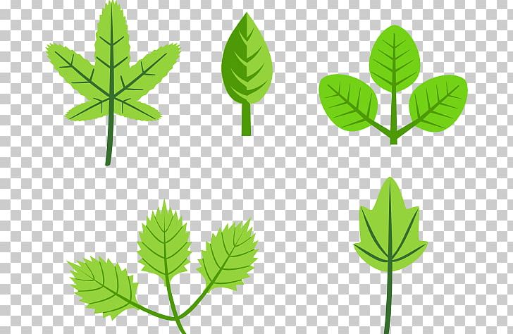 Autumn Leaf Color PNG, Clipart, Autumn, Autumn Leaf Color, Branch, Cartoon Trees With Branches, Download Free PNG Download