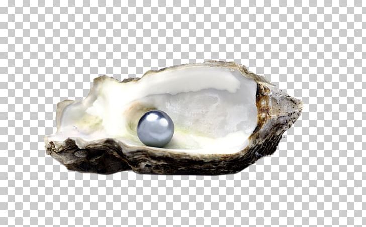 Oyster Tahitian Pearl Seashell Pinctada PNG, Clipart, Biological, Clams Oysters Mussels And Scallops, Crystal, Cultured Pearl, Gemstone Free PNG Download