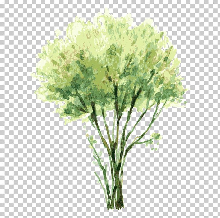 Watercolor Painting Tree Shrub Illustration PNG, Clipart, Art, Autumn Tree, Christmas Tree, Color, Drawing Free PNG Download