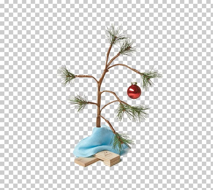 Christmas Tree Christmas Decoration Christmas Ornament Feliz Navidad PNG, Clipart, Branch, Christmas, Christmas Decoration, Christmas Ornament, Christmas Tree Free PNG Download