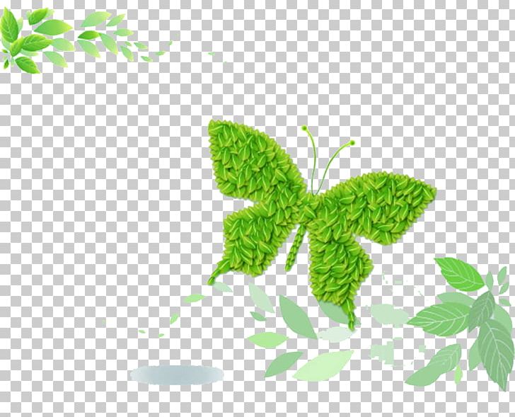 Green PNG, Clipart, Blue Butterfly, Branch, Butterflies, Butterfly, Butterfly Group Free PNG Download