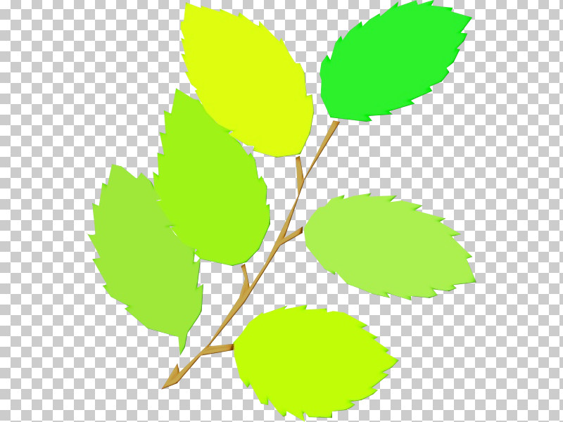 Leaf Plant Stem Twig Tree Green PNG, Clipart, Geometry, Green, Leaf, Line, Mathematics Free PNG Download