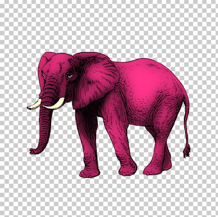 African Elephant Free PNG, Clipart, African Elephant, Animal Figure, Animals, Computer Icons, Elephant Free PNG Download