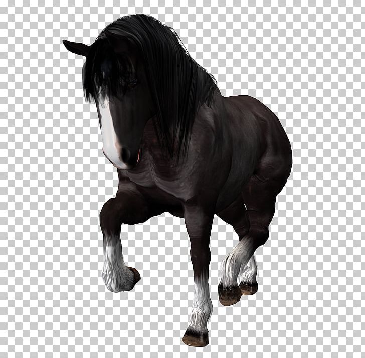 Mustang DAS Productions Inc Stallion Pony Howrse PNG, Clipart, Animation, Bridle, Charger, Das Productions Inc, Daz Free PNG Download