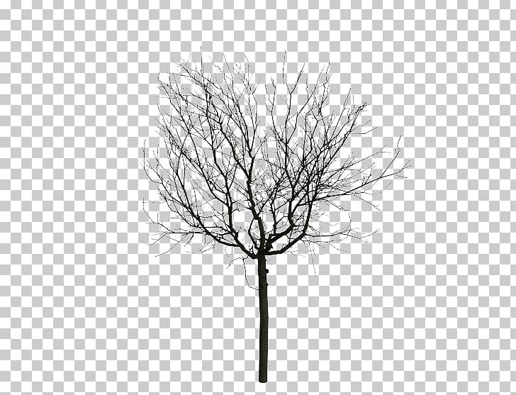 Twig Animation Computer Graphics Tree PNG, Clipart, Animation, Black And White, Branch, Cartoon, Computer Free PNG Download
