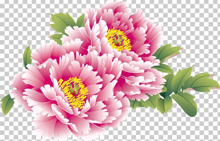 China Moutan Peony Chinese New Year PNG, Clipart, Annual Plant, Chrysanths, Daisy Family, Flower, Flower Arranging Free PNG Download