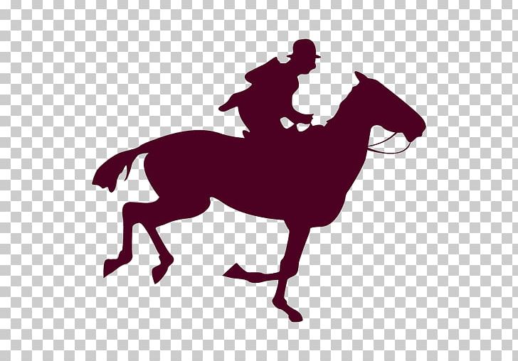 Mustang English Riding Rein Pony PNG, Clipart, Bridle, English Riding, Equestrian, Equestrianism, Equestrian Sport Free PNG Download