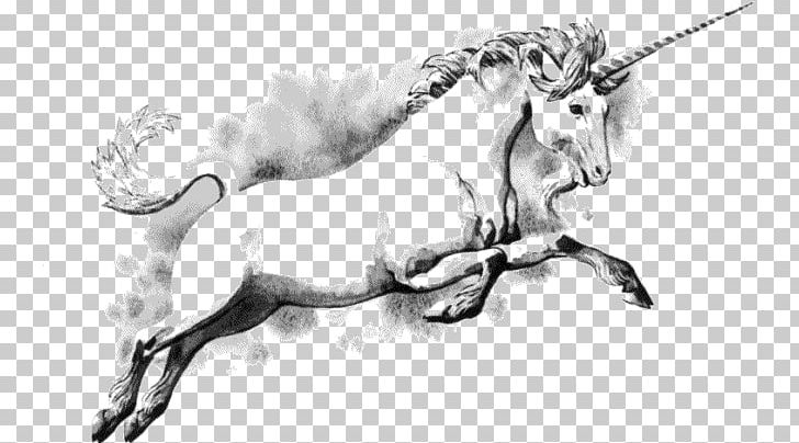 The Last Unicorn Legendary Creature PNG, Clipart, Black And White, Cattle Like Mammal, Computer Icons, Download, Draw Free PNG Download