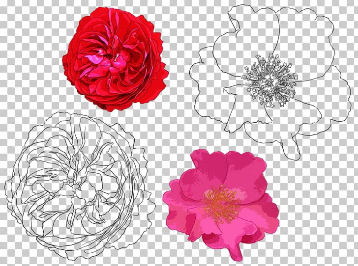 Beach Rose Garden Roses Drawing Flower Painting PNG, Clipart, Cartoon, Cut Flowers, Flora, Floral Design, Floristry Free PNG Download