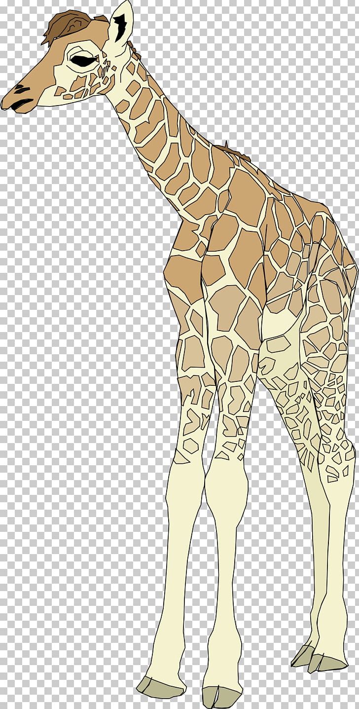 Giraffe PNG, Clipart, Animals, Computer Icons, Deer, Download, Drawing Free PNG Download
