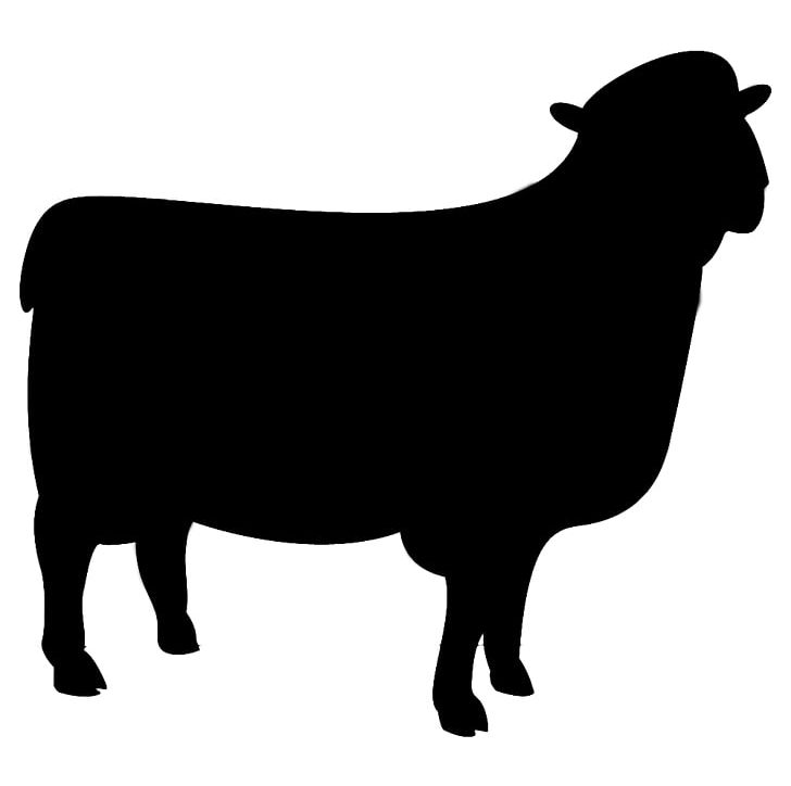 Sheep T-shirt Silhouette Blackboard Shadow PNG, Clipart, Black And White, Blackboard, Bull, Cattle Like Mammal, Chalkboard Free PNG Download
