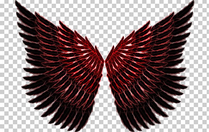 Wing Angel PNG, Clipart, Ala, Angel, Angel Wings, Beak, Centerblog Free PNG Download