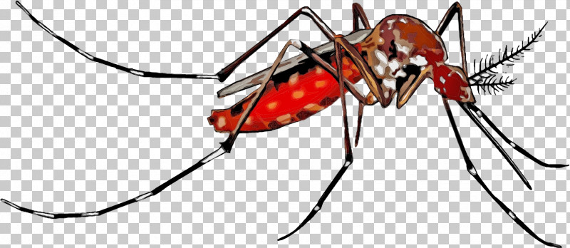 Mosquito Yellow Fever Mosquito Dengue Fever Zika Virus Chikungunya Virus Infection PNG, Clipart, Aedes, Chikungunya Virus Infection, Dengue Fever, Health, Insect Bites And Stings Free PNG Download