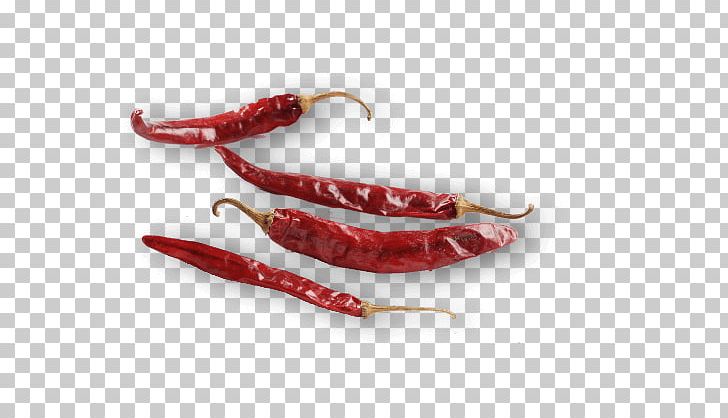Chile De árbol Bird's Eye Chili Chili Pepper Tabasco Pepper Cayenne Pepper PNG, Clipart, Cayenne Pepper, Chile De Arbol, Chili Pepper, Chilli, Flakes Free PNG Download