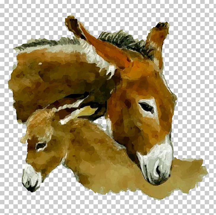 Donkey Watercolor Painting PNG, Clipart, Animal, Animals, Art, Cartoon, Donkey Free PNG Download