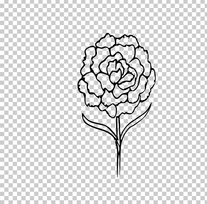 Carnation Drawing Coloring Book Flower PNG, Clipart, Artwork, Black, Black And White, Blume, Branch Free PNG Download