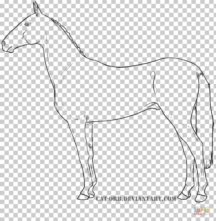 Mule Dutch Warmblood Oldenburg Horse Danish Warmblood Mustang PNG, Clipart, Animal Figure, Artwork, Black And White, Bridle, Coloring Book Free PNG Download