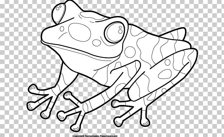 The Frog And Toad Coloring Book Frog And Toad Are Friends PNG, Clipart,  Free PNG Download