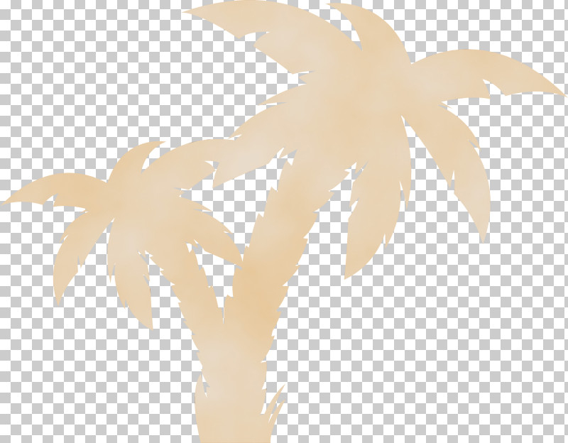 Palm Trees PNG, Clipart, Biology, Flower, Leaf, Paint, Palm Trees Free PNG Download