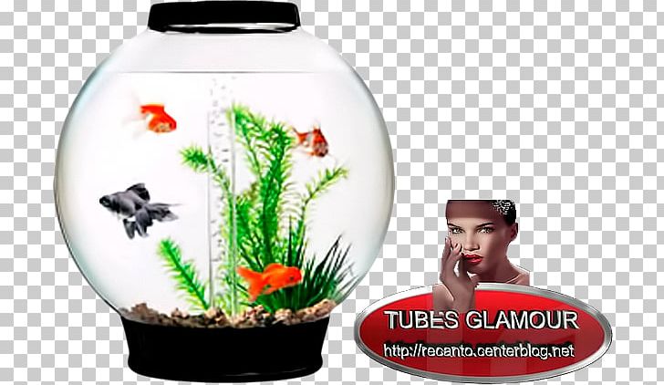 BiOrb CLASSIC Collection BiOrb Aquarium Gallon BiOrb FLOW PNG, Clipart, Aquarium, Aquarium Filters, Aquascaping, Filtration, Fish Free PNG Download