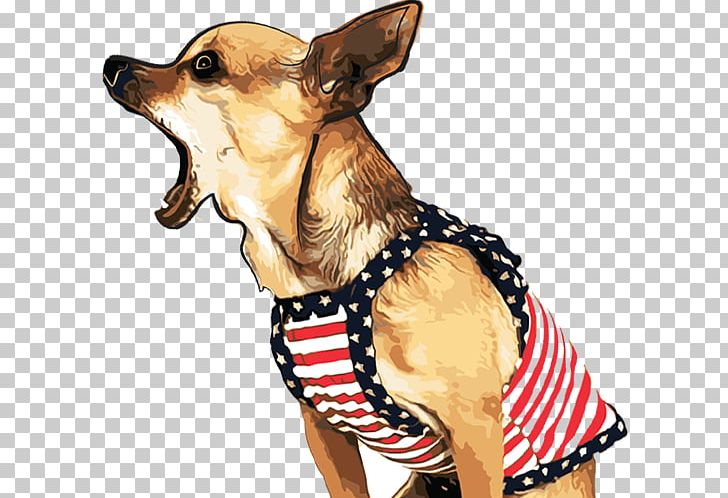 Chihuahua Puppy Bichon Frise Bark Yorkshire Terrier PNG, Clipart, Bark, Bichon, Bichon Frise, Carnivoran, Chihuahua Free PNG Download