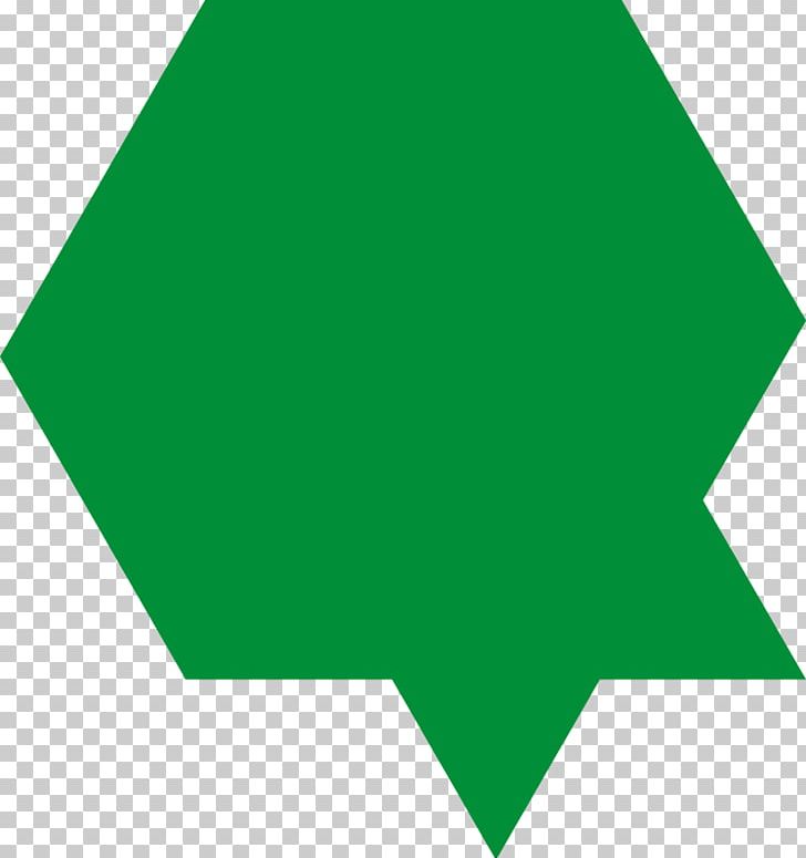 Triangle Line Point Green PNG, Clipart, Angle, Area, Art, Flounder, Grass Free PNG Download