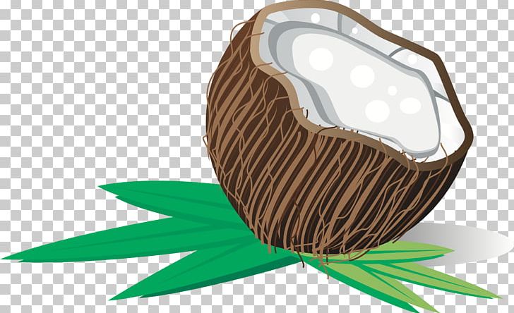 Coconut Water Coconut Milk PNG, Clipart, Animation, Arecaceae, Coconut, Coconut Milk, Coconut Oil Free PNG Download