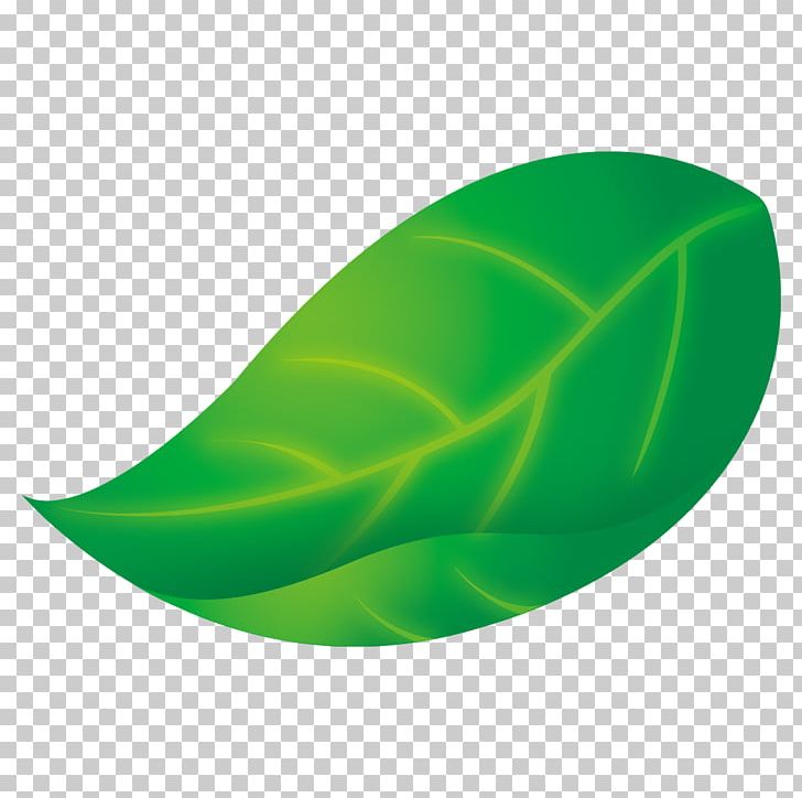 Leaf Green Chart PNG, Clipart, Beautifully, Chart, Defoliacixf3, Environmental, Environmental Protection Free PNG Download